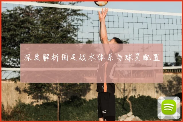 深度解析国足战术体系与球员配置