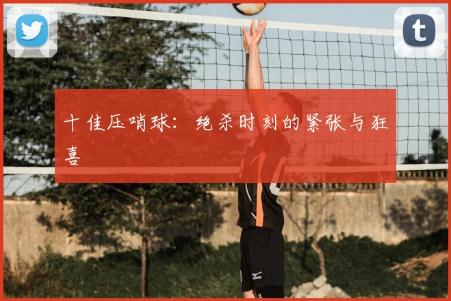 十佳压哨球：绝杀时刻的紧张与狂喜