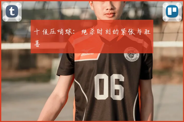 十佳压哨球：绝杀时刻的紧张与狂喜